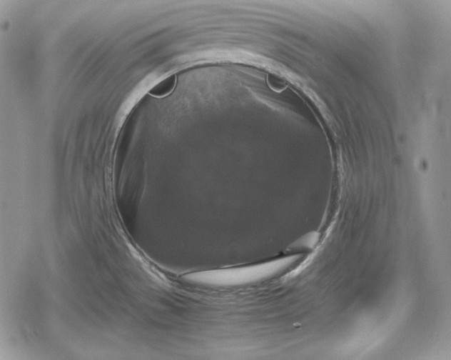 X0000078841529200611271309