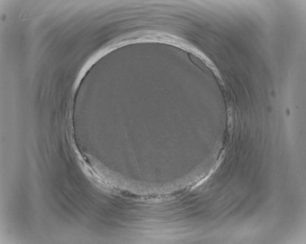 X0000078841530200611271309