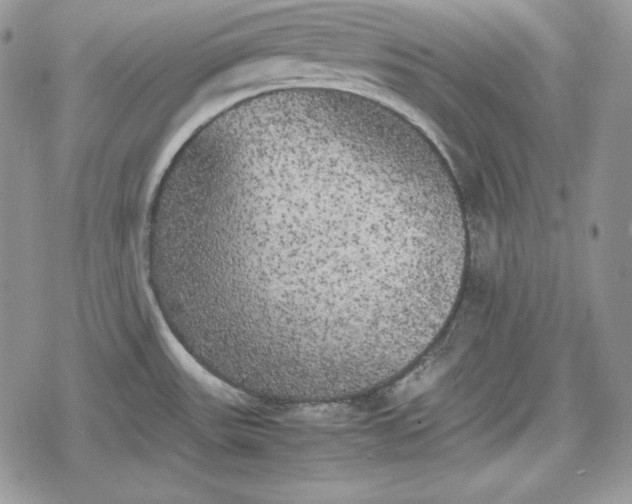 X0000078841531200611271309