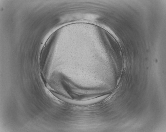 X0000078841532200611271309