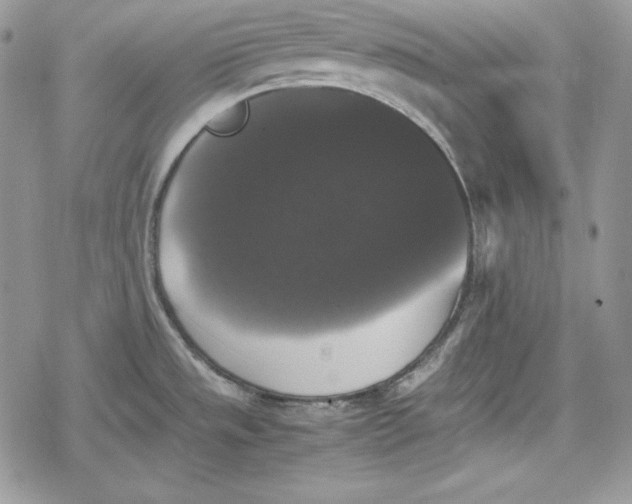 X0000078841533200611271309