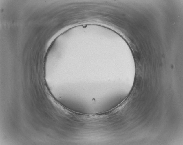 X0000078841534200611271309