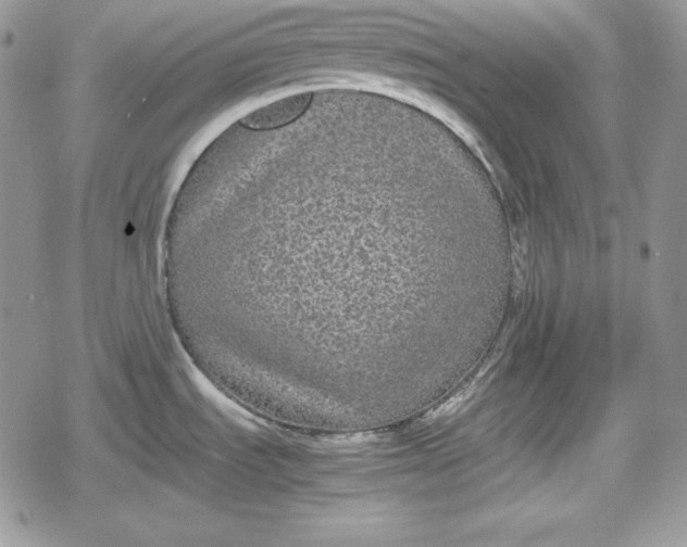 X0000078841535200611271309