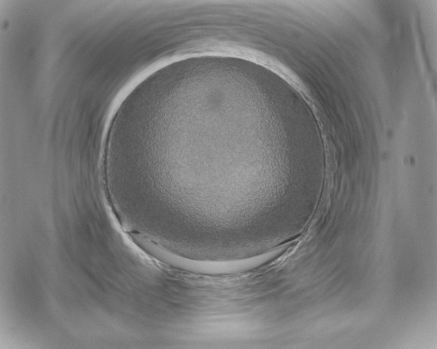 X0000078841536200611271309