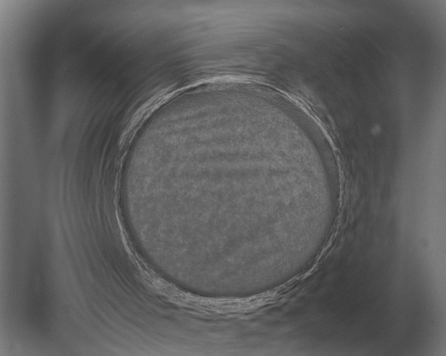 X0000078840001200612041851