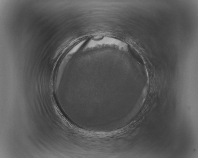 X0000078840002200612041851