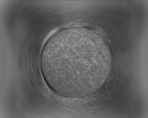 X0000078840003200612041851