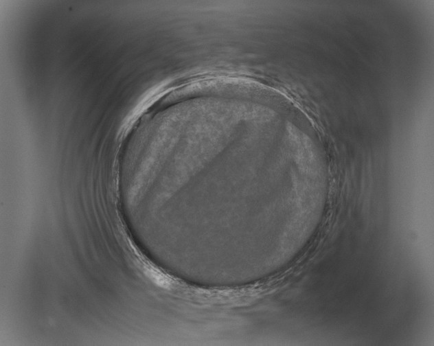 X0000078840005200612041851