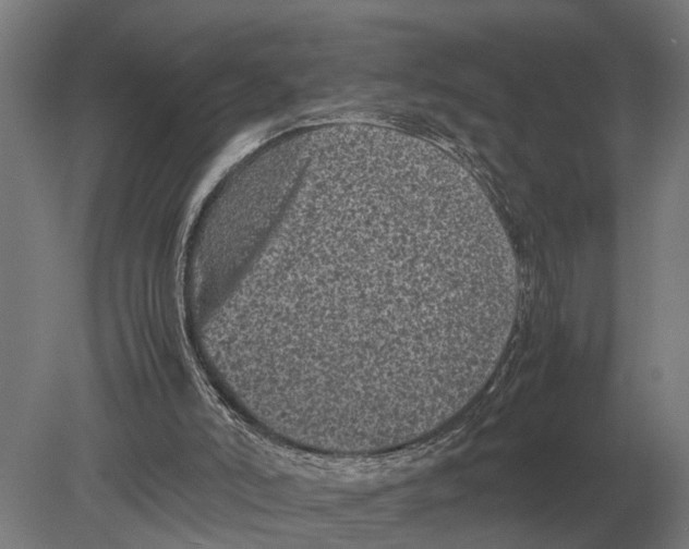 X0000078840006200612041851