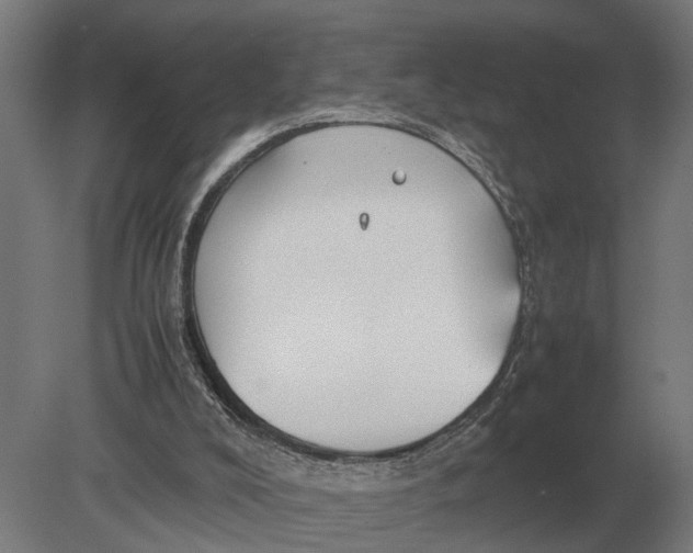 X0000078840008200612041851