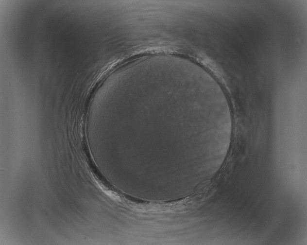 X0000078840009200612041851