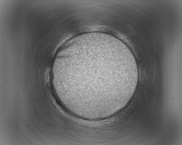 X0000078840010200612041851