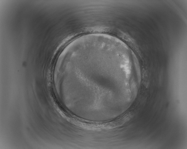 X0000078840012200612041851