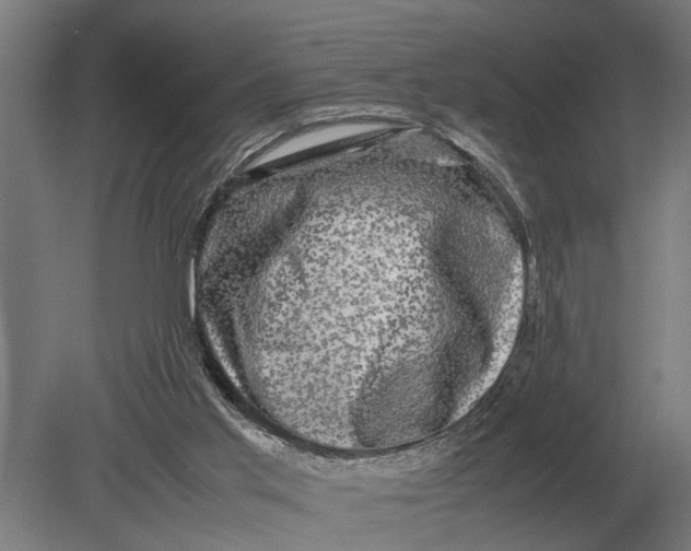 X0000078840013200612041851