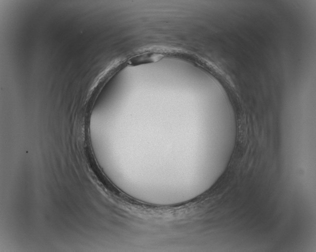 X0000078840015200612041851