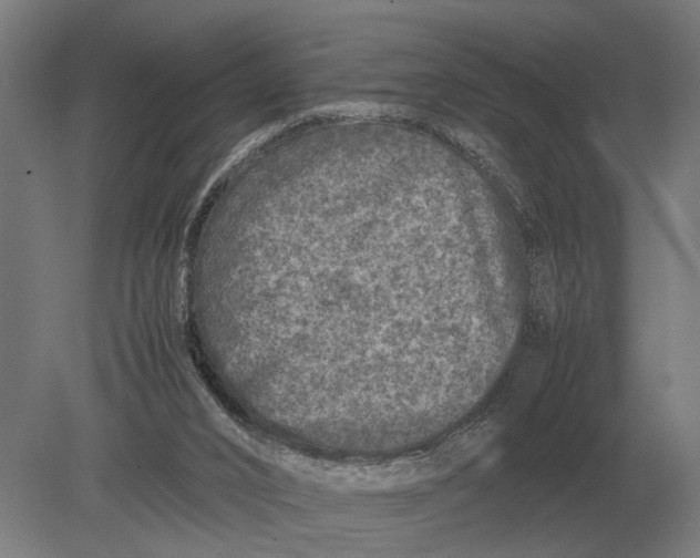 X0000078840016200612041851