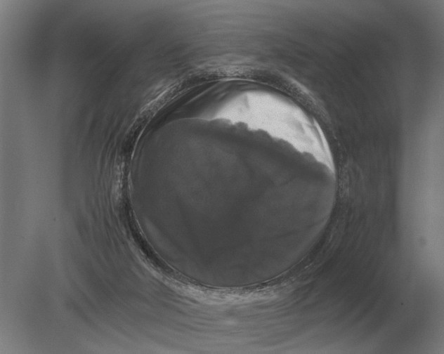 X0000078840018200612041851