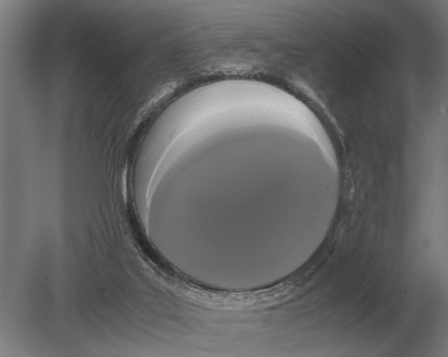 X0000078840019200612041851