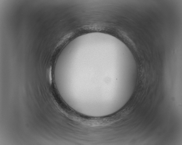 X0000078840020200612041851