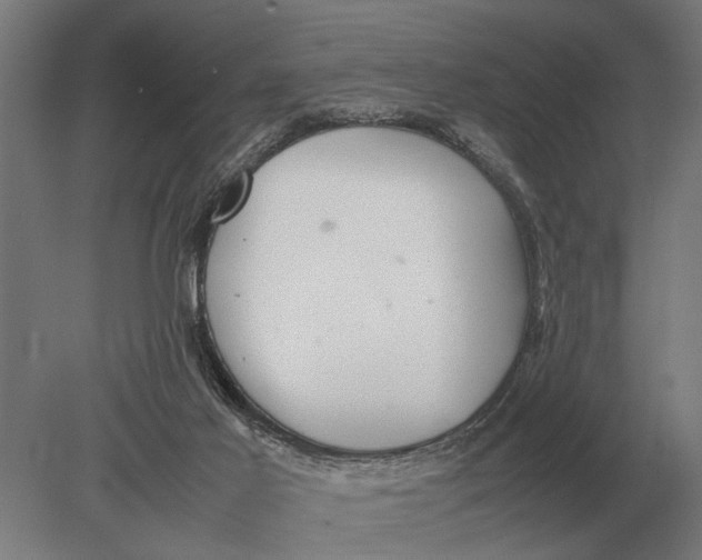 X0000078840021200612041851