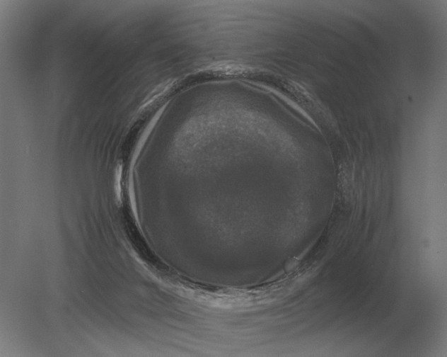 X0000078840024200612041851