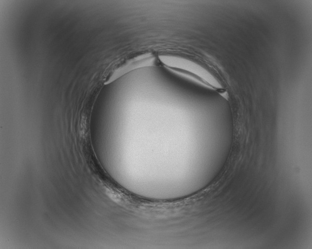 X0000078840025200612041851