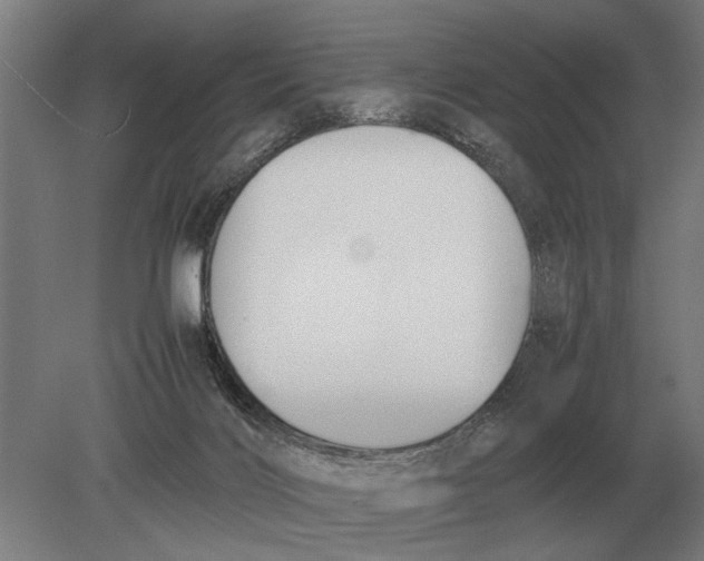 X0000078840028200612041851