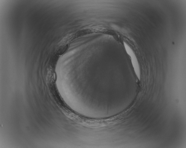 X0000078840029200612041851