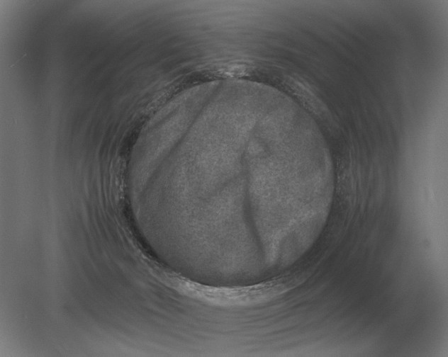 X0000078840030200612041851