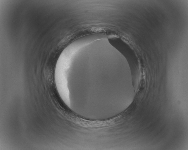 X0000078840031200612041851