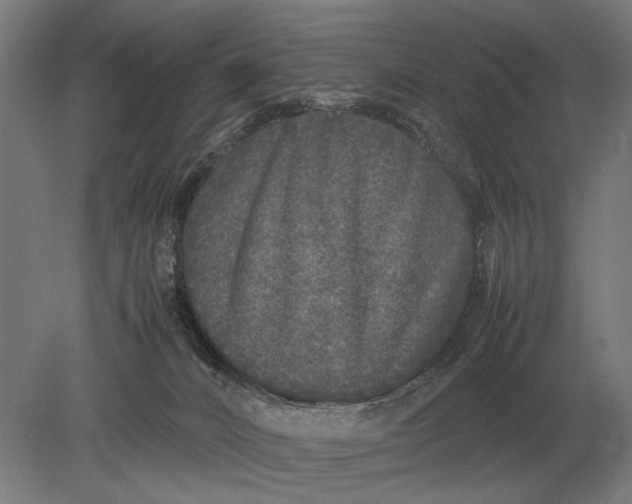 X0000078840032200612041851