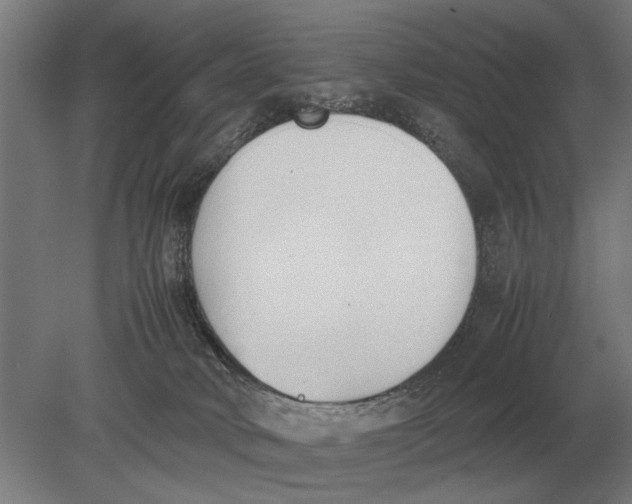 X0000078840034200612041851