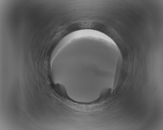 X0000078840035200612041851