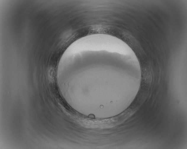 X0000078840036200612041851