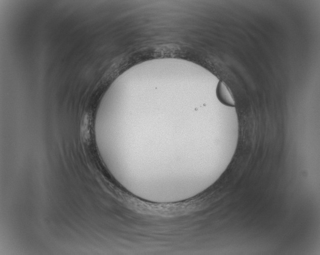 X0000078840038200612041851