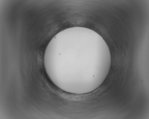 X0000078840040200612041851