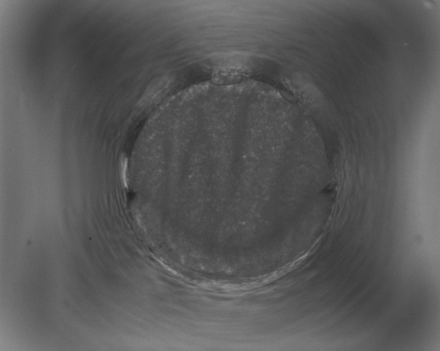 X0000078840041200612041851