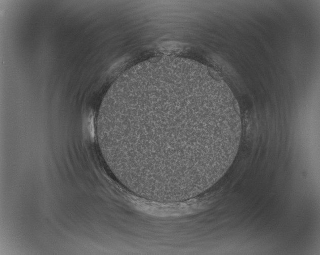 X0000078840042200612041851