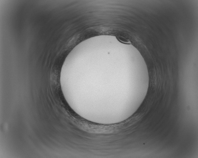 X0000078840044200612041851