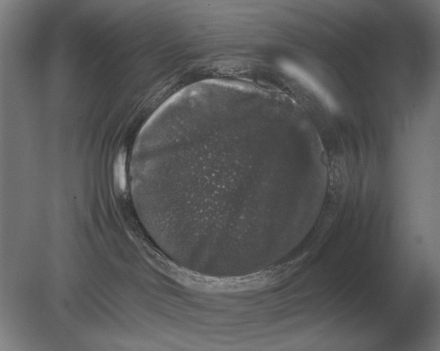 X0000078840046200612041851