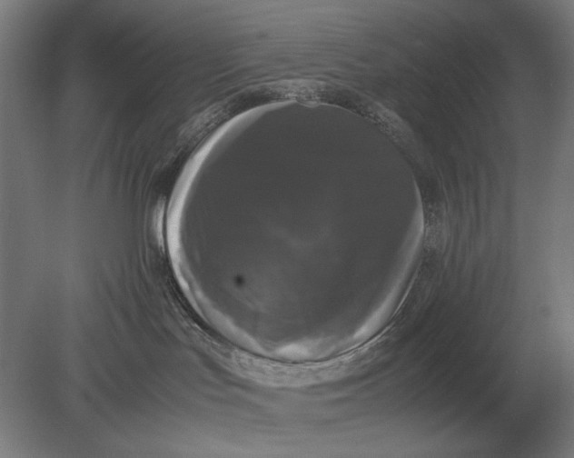 X0000078840047200612041851