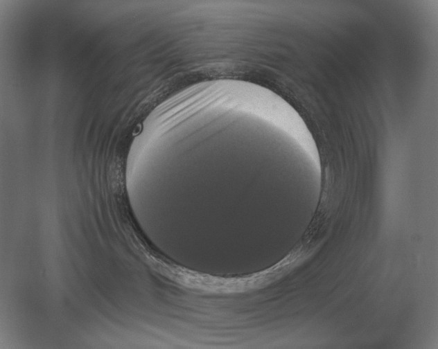 X0000078840048200612041851