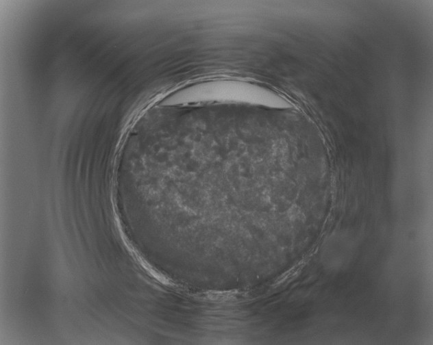 X0000078840049200612041850