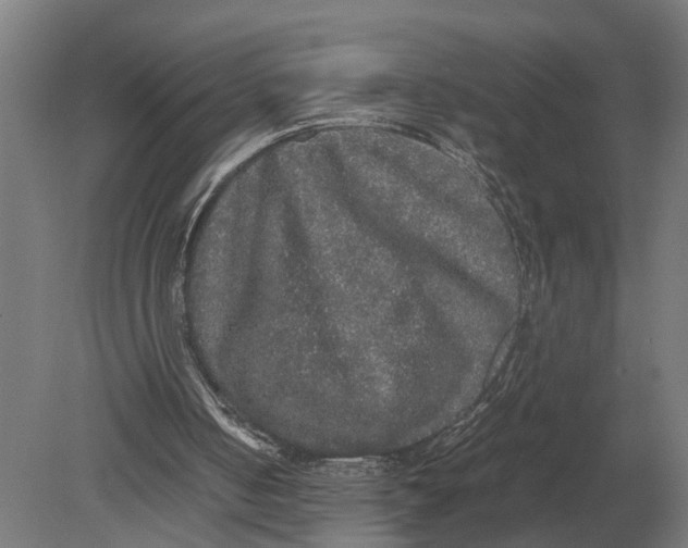 X0000078840050200612041850