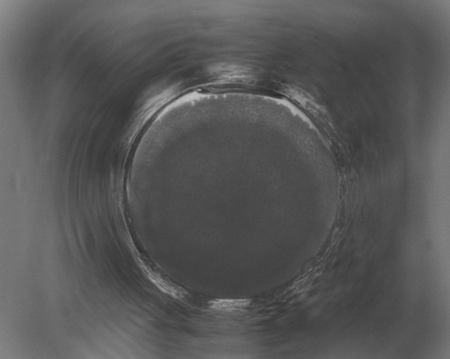 X0000078840051200612041850