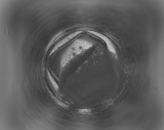 X0000078840053200612041850