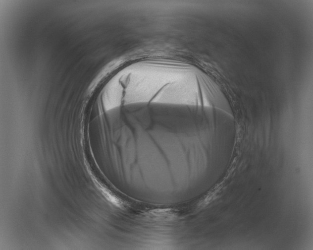 X0000078840054200612041850