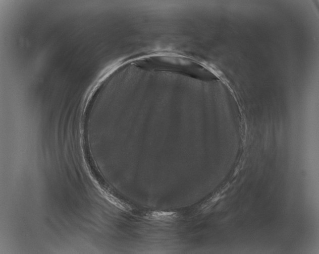 X0000078840055200612041850