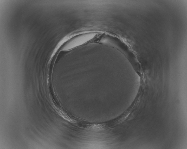 X0000078840056200612041850