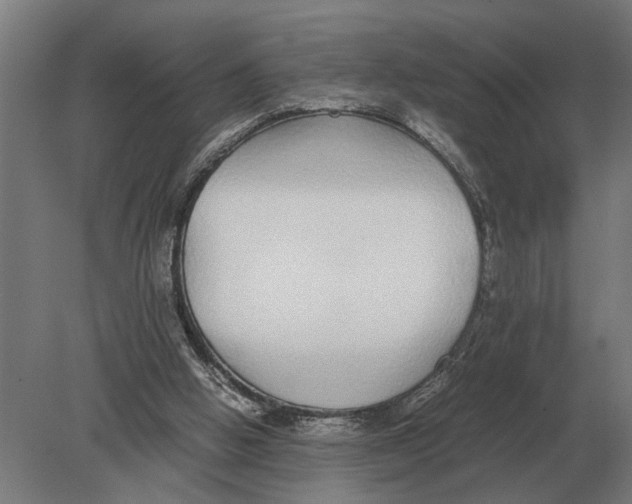 X0000078840058200612041850